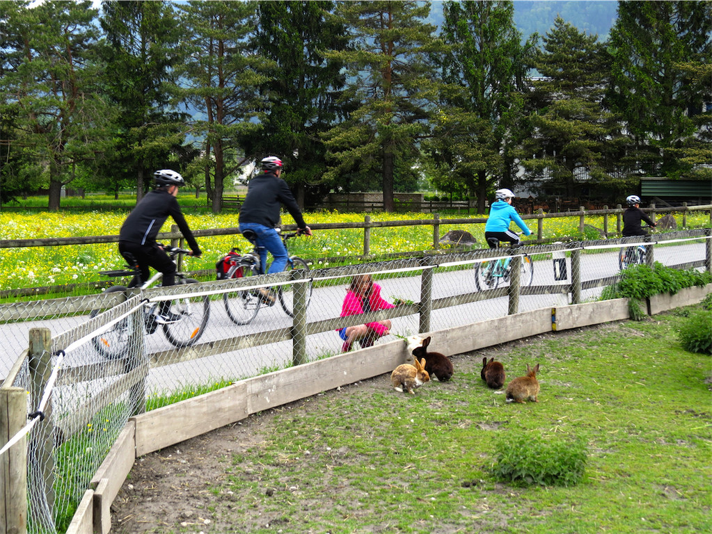 BK_slowUp_2014 31.JPG