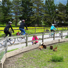 BK_slowUp_2014 31.JPG