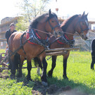 IMG_4377.JPG