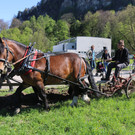 IMG_4390.JPG