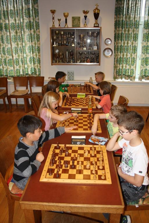 Schachverein Nachwuchs TURNIER 2014 _13_.JPG