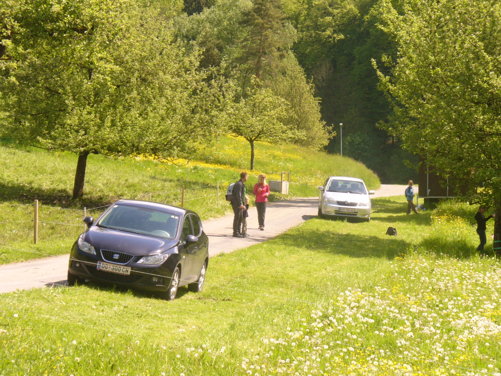beweg11.JPG