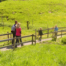 beweg15.JPG