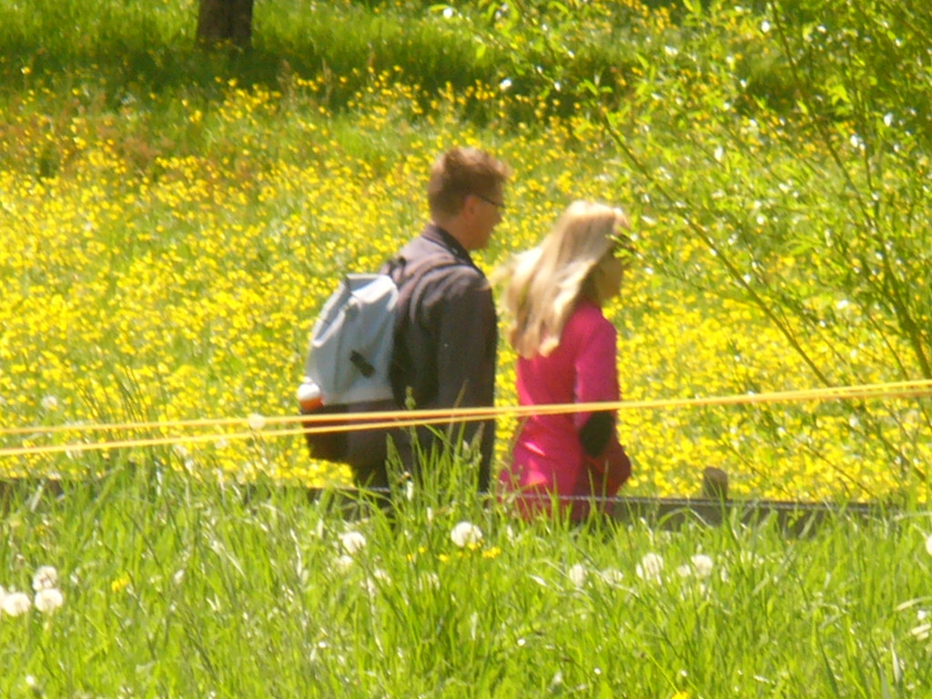 beweg16.JPG