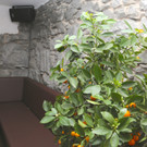 KOE_Hotel Engel Nofels 48.jpg