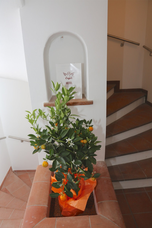 KOE_Hotel Engel Nofels 54.jpg