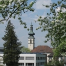 Fr__hling Hochstammkulturen _18_.jpg