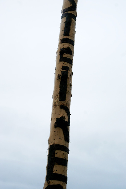 54.JPG
