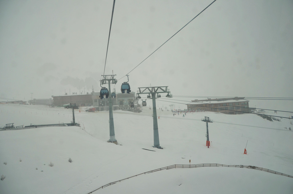 DSC_1037 _2_.JPG