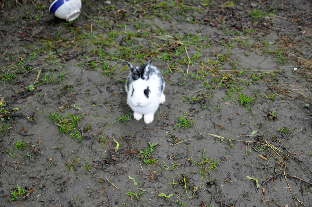 DSC_0414.JPG
