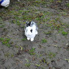 DSC_0414.JPG