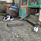 DSC_0417.JPG