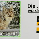 Luchs Tierpatenschaft VOL.AT