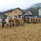 P1000548.JPG