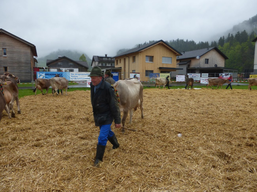 P1000557.JPG