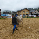 P1000557.JPG