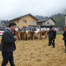 P1000569.JPG