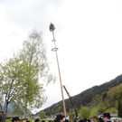DSC_8080.jpg