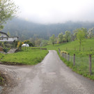 Lenaustra__e2.JPG