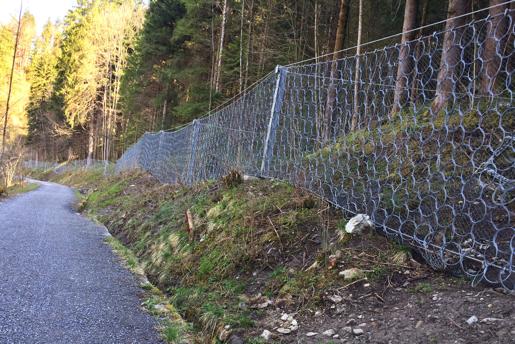 ach fangnetze.jpg