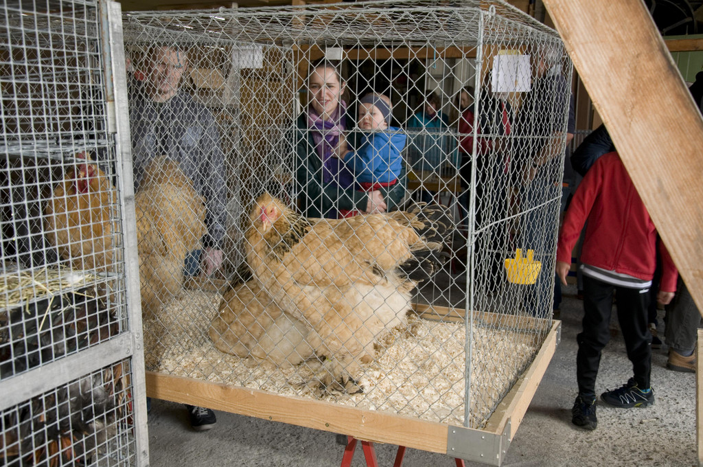 kleintiermarkt2014_2.jpg