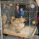 kleintiermarkt2014_2.jpg