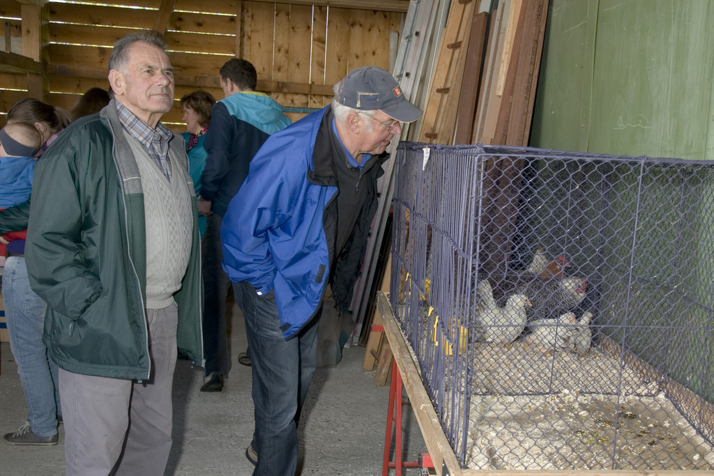 kleintiermarkt2014_4.jpg