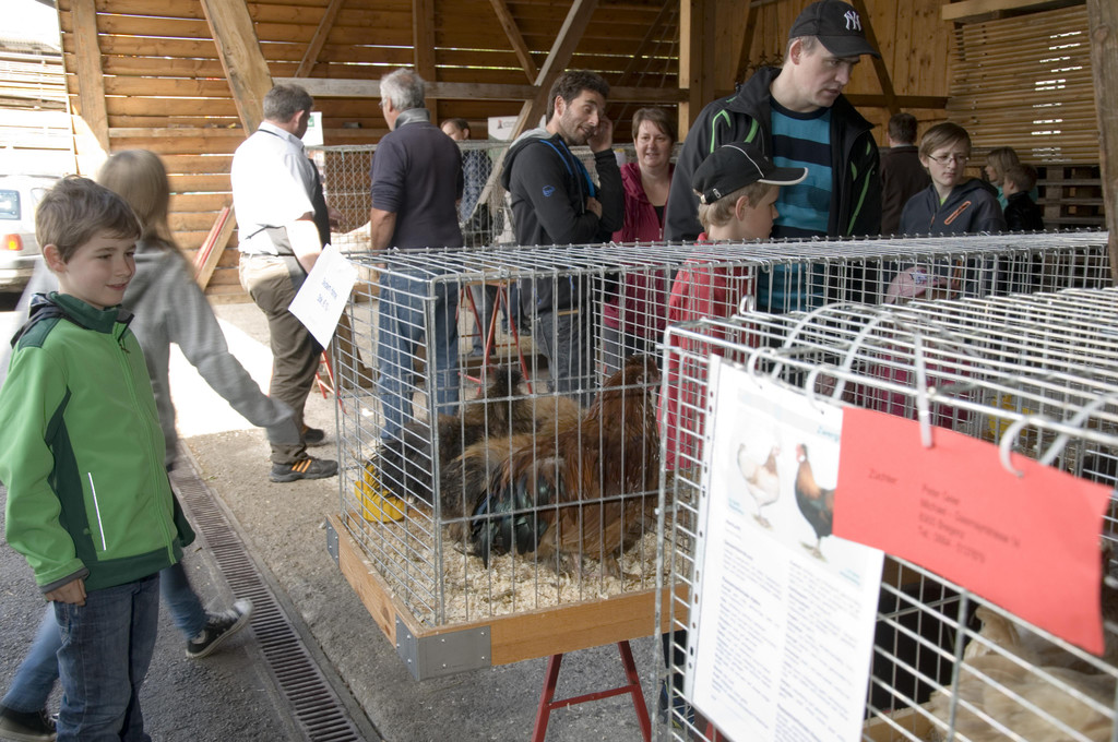 kleintiermarkt2014_5.jpg
