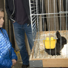 kleintiermarkt2014_6.jpg