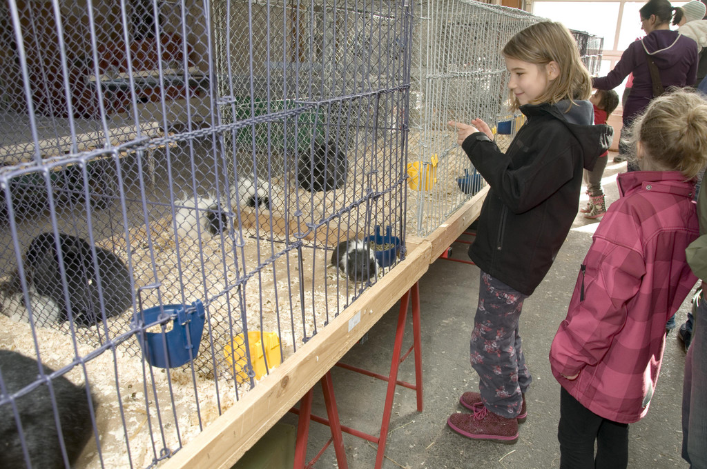 kleintiermarkt2014_7.jpg
