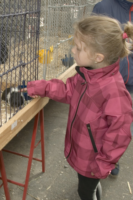 kleintiermarkt2014_8.jpg
