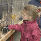 kleintiermarkt2014_8.jpg