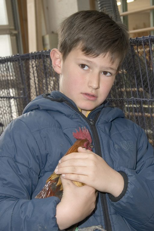 kleintiermarkt2014_9.jpg