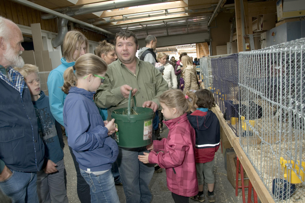 kleintiermarkt2014_11.jpg