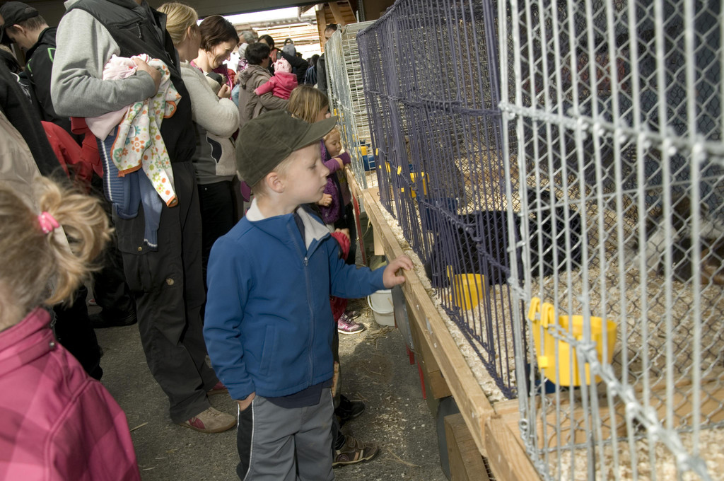 kleintiermarkt2014_12.jpg