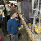 kleintiermarkt2014_12.jpg