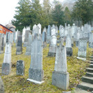 Emsiana9a.jpg