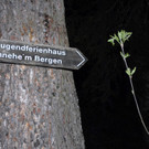 _c_ Gerhard Scopoli - Kreis__bung Latschau - 173.jpg