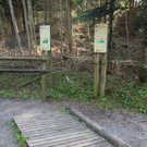 IMG_5838.JPG