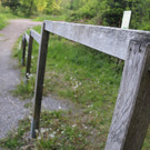 IMG_5918.JPG