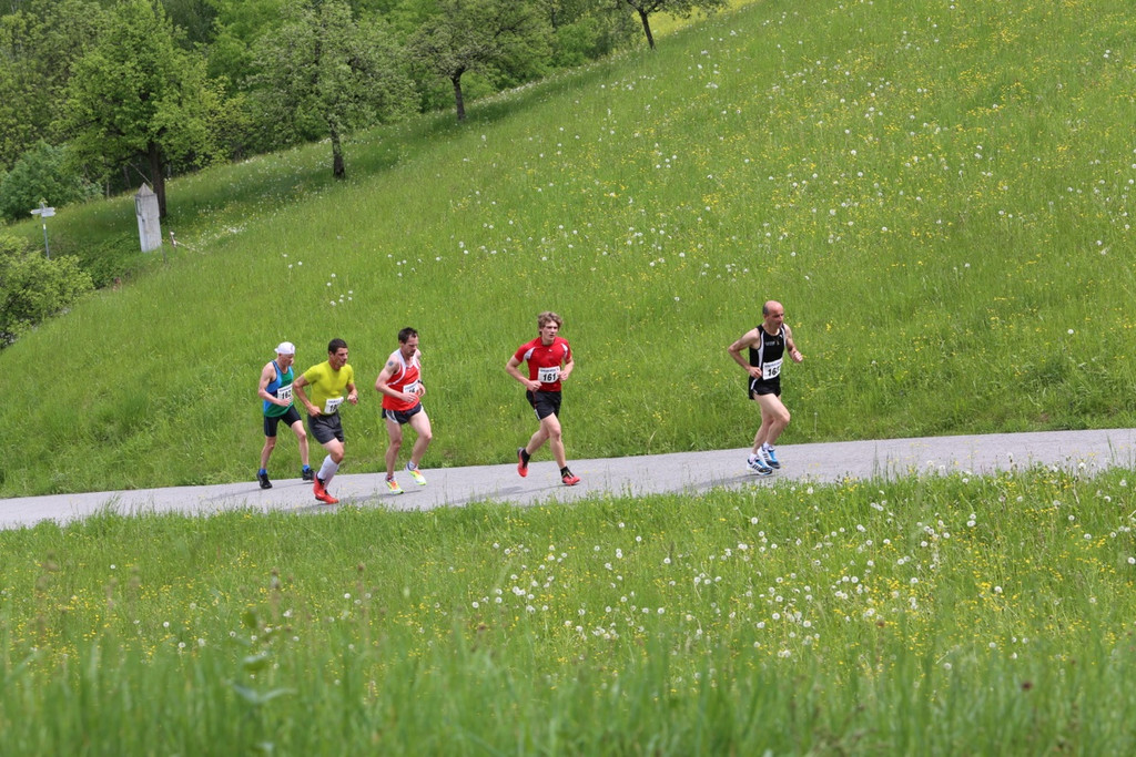 BK_Aelpelelauf 2014 10.jpg