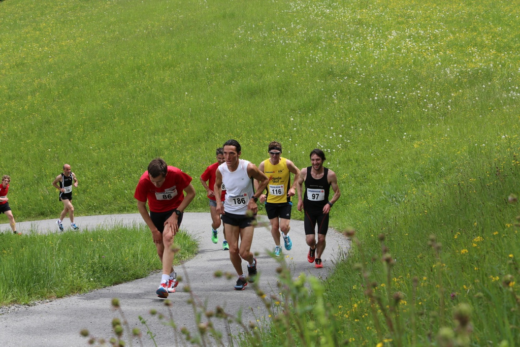 BK_Aelpelelauf 2014 11.jpg