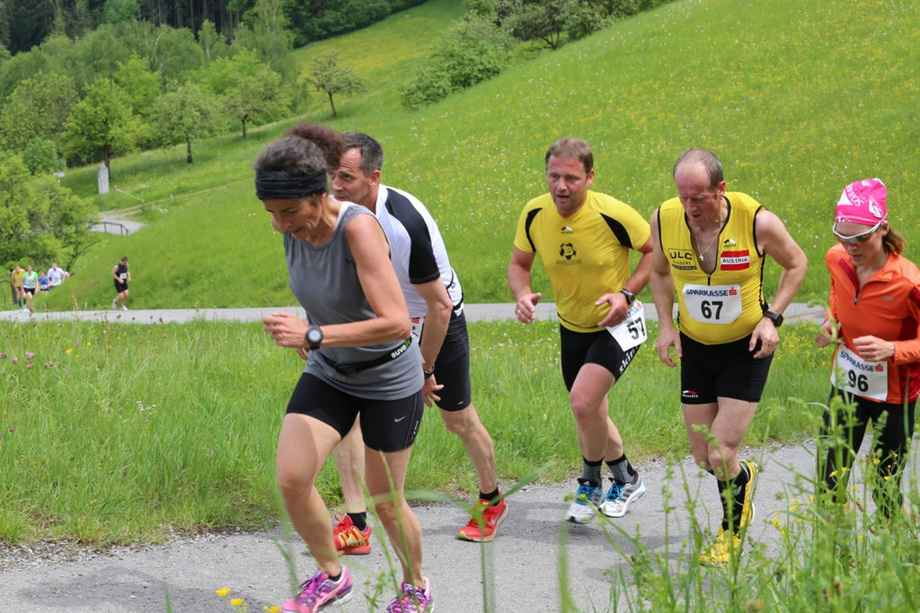 BK_Aelpelelauf 2014 37.jpg