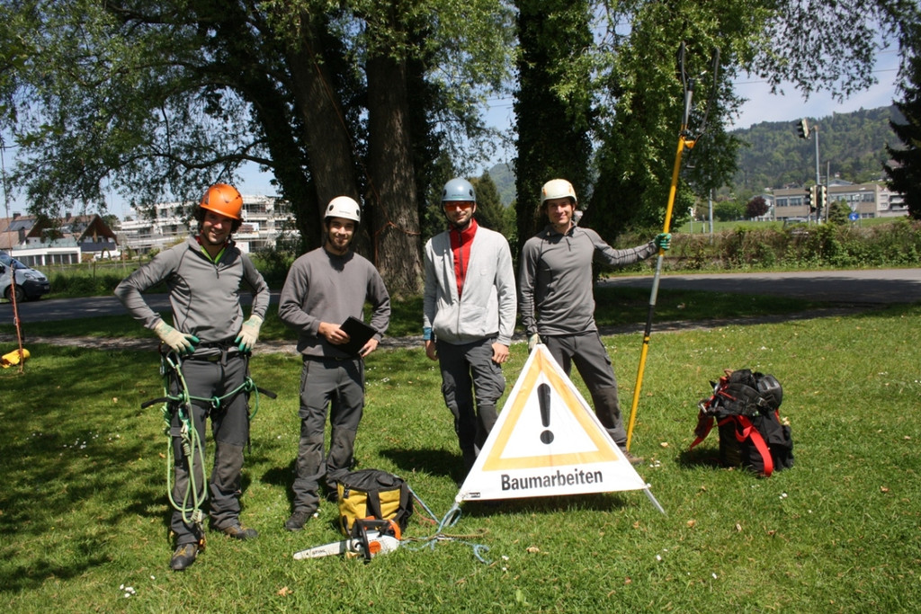 Baumpflege am See TEAM LANGEN 2014 _1_.JPG
