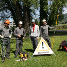 Professionelle Baumpflege am Lochauer Bodenseeufer