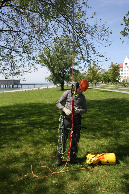 Baumpflege am See TEAM LANGEN 2014 _2_.JPG