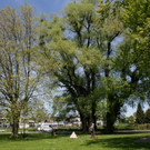 Baumpflege am See TEAM LANGEN 2014 _30_.JPG