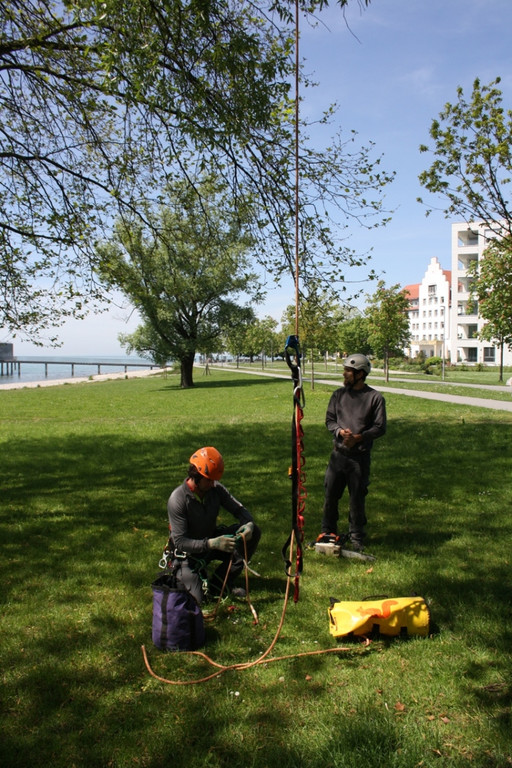 Baumpflege am See TEAM LANGEN 2014 _3_.JPG