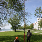 Baumpflege am See TEAM LANGEN 2014 _3_.JPG
