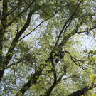 Baumpflege am See TEAM LANGEN 2014 _10_.JPG